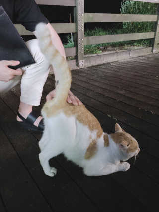 쭈농이님이 올린 리뷰 사진 1