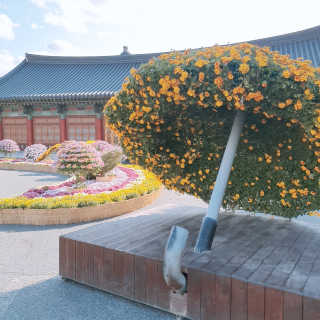 아형팬님이 올린 리뷰 사진 2
