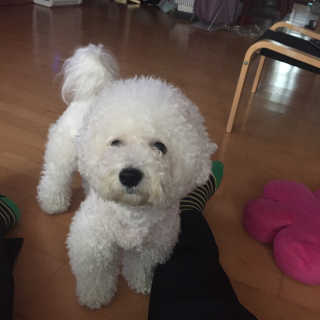 Anna님이 올린 리뷰 사진 3