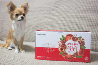 프롬바이오 오직 석류만 [그대로100 석류즙] 하루 1포로 건강하게 — 5점을 준 리뷰어가 2020년 5월 올린 사용 사진