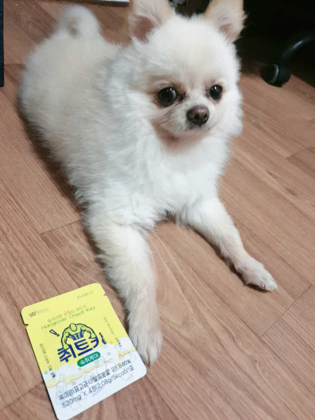 취트키 리뷰 사진
