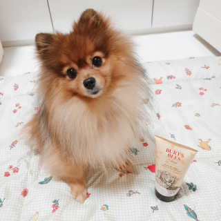 은선이짱님이 올린 리뷰 사진 4