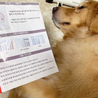 아보카도올리브님이 올린 리뷰 사진 2