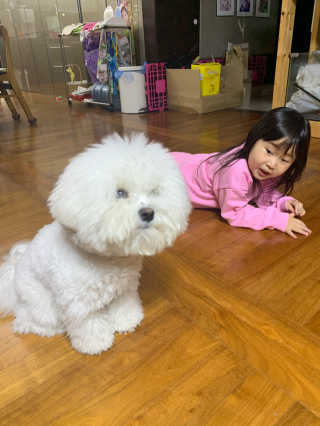 My Pet Care 천연단백질 관절건강에 개좋아 — 3점을 준 리뷰어가 2020년 12월 올린 사용 사진