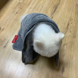 YeonjuLim님이 올린 리뷰 사진 4