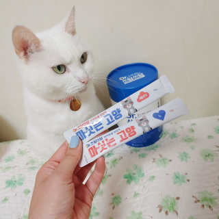 규빈띵쏘님이 올린 리뷰 사진 2