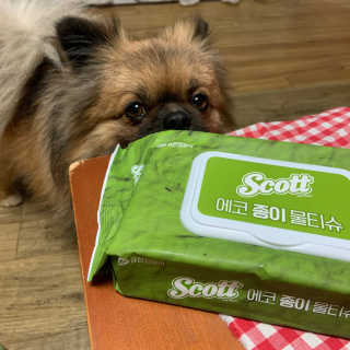 지영님이 올린 리뷰 사진 1