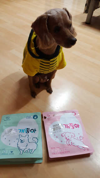 My Pet Care 천연단백질 눈건강에 개좋아 — 5점을 준 리뷰어가 2020년 11월 올린 사용 사진