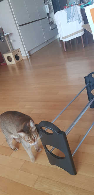 반짝님이 올린 리뷰 사진 2