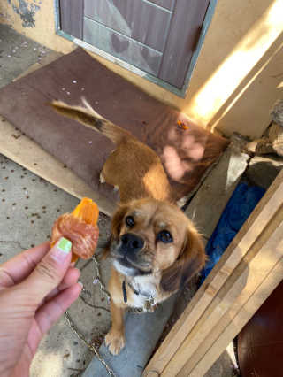 리기님이 올린 리뷰 사진 2