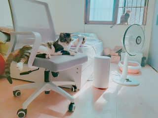 협찬ㄱㄱㅎ님이 올린 리뷰 사진 1