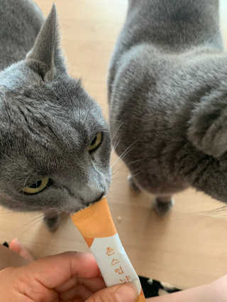롬님이 올린 리뷰 사진 3