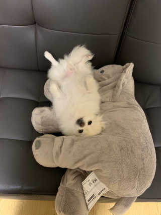 유블님이 올린 리뷰 사진 3