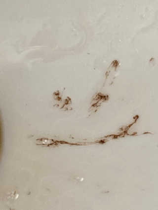 진시님이 올린 리뷰 사진 4