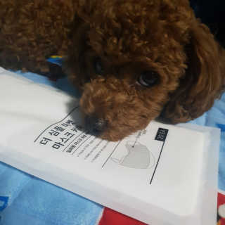 신사로이님이 올린 리뷰 사진 3