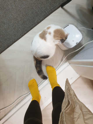 망나니집사님이 올린 리뷰 사진 3