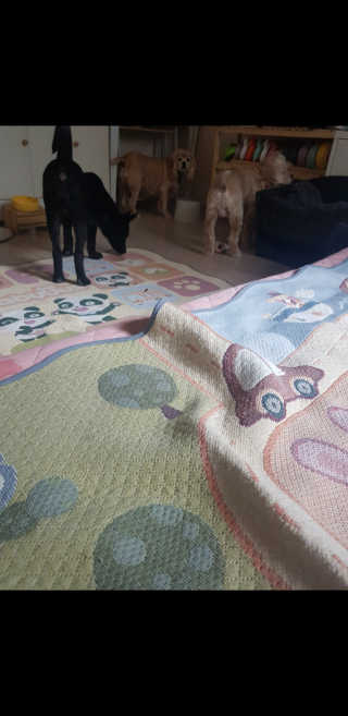 조소민님이 올린 리뷰 사진 1