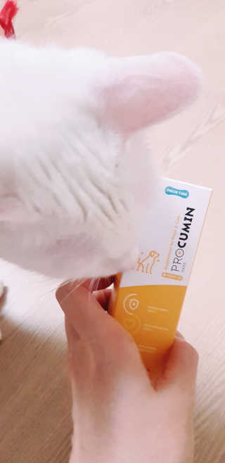 대박이님이 올린 리뷰 사진 3