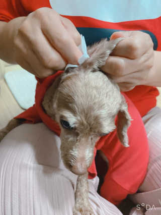 후니부인님이 올린 리뷰 사진 2