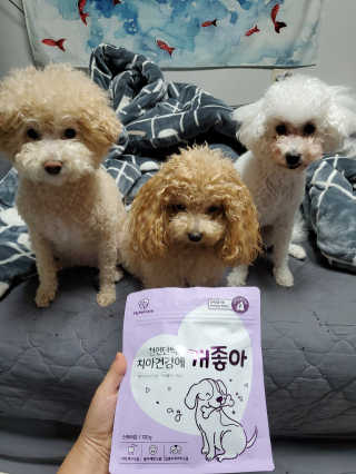 My Pet Care 천연단백질 치아건강에 개좋아 — 5점을 준 리뷰어가 2020년 11월 올린 사용 사진