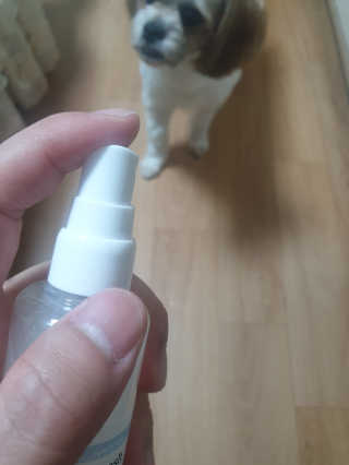정지바리님이 올린 리뷰 사진 3
