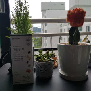 모모랜드님이 올린 리뷰 사진 1