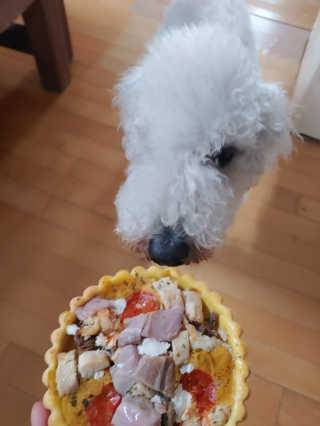 하루콩콩님이 올린 리뷰 사진 2