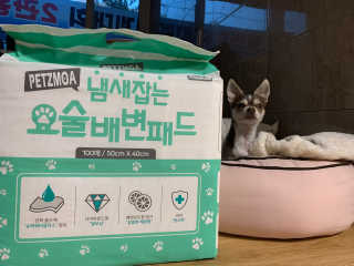 외모되죠님이 올린 리뷰 사진 1