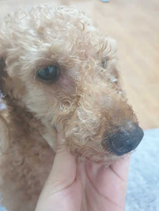 꾹꾹이님이 올린 리뷰 사진 4