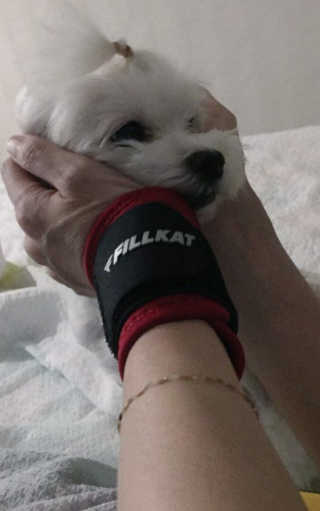 갱스터님이 올린 리뷰 사진 2