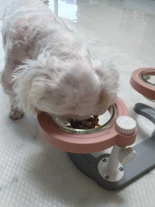 콩이님이 올린 리뷰 사진 3