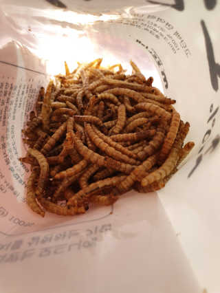 탱크돌콩님이 올린 리뷰 사진 1