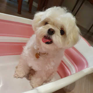 hosu.1230님이 올린 리뷰 사진 3