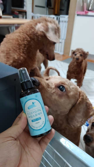 코지독 카밍스프레이 100ml — 3점을 준 리뷰어가 2020년 6월 올린 사용 사진