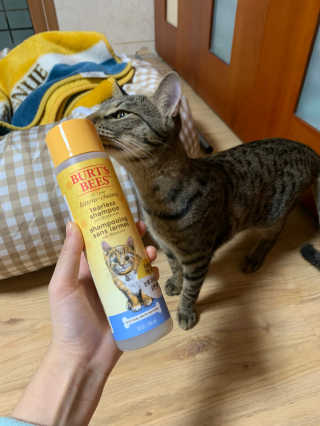 권효선님이 올린 리뷰 사진 1