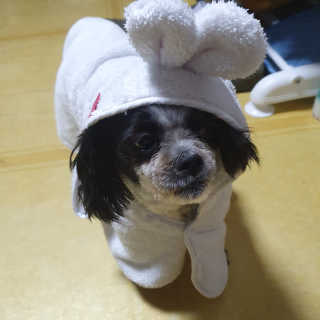 가횽님이 올린 리뷰 사진 1