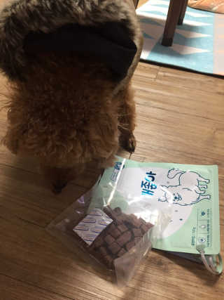 My Pet Care 천연단백질 눈건강에 개좋아 — 5점을 준 리뷰어가 2020년 12월 올린 사용 사진