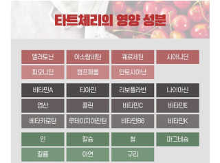 자연에온 몽모랑시 타트체리 착즙 100mL 10개입 2BOX — 5점을 준 리뷰어가 2020년 10월 올린 사용 사진