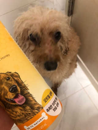 지구별철학자님이 올린 리뷰 사진 1