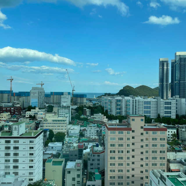 스트라이덱스 센시티브 패드 리뷰 사진