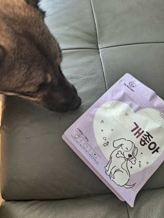 My Pet Care 천연단백질 치아건강에 개좋아 — 4점을 준 리뷰어가 2021년 2월 올린 사용 사진