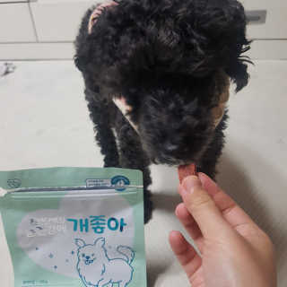 My Pet Care 천연단백질 눈건강에 개좋아 — 5점을 준 리뷰어가 2020년 11월 올린 사용 사진