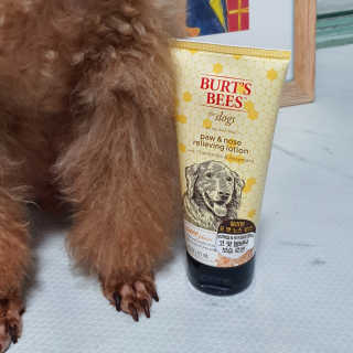 이설님이 올린 리뷰 사진 2