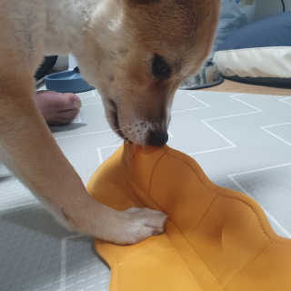 여온님이 올린 리뷰 사진 1