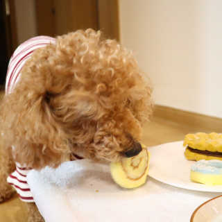 jiji님이 올린 리뷰 사진 4