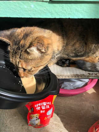 유영경님이 올린 리뷰 사진 2