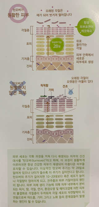 셀타 엔자임 워시 파우더 — 5점을 준 리뷰어가 2020년 9월 올린 사용 사진