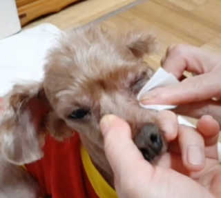쑤기님이 올린 리뷰 사진 4