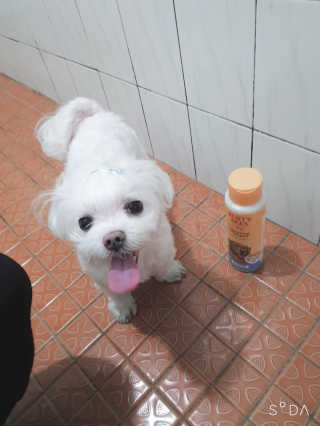 두부님이 올린 리뷰 사진 1