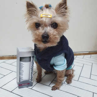 솜희님이 올린 리뷰 사진 3